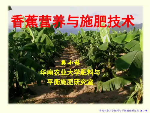 第二讲 香蕉营养与施肥