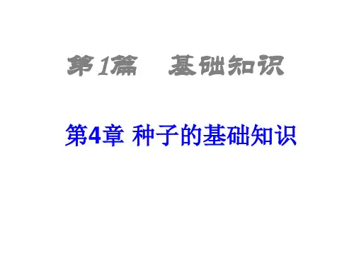 课件种子基础知识