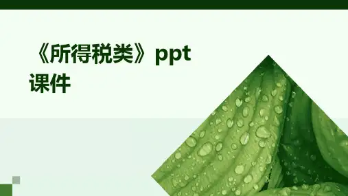 《所得税类》课件