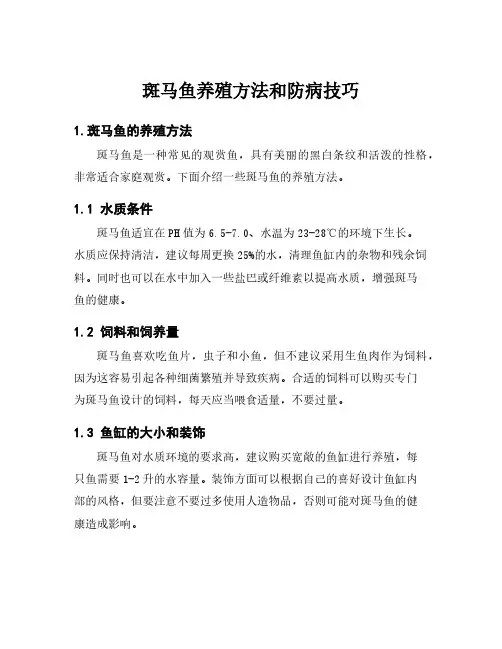 斑马鱼养殖方法和防病技巧