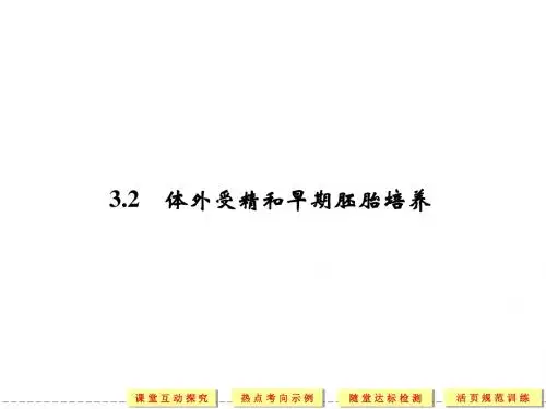 3-2体外受精和早期胚胎培养_课件