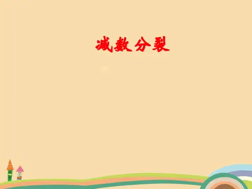 高三生物减数分裂复习PPT优秀课件