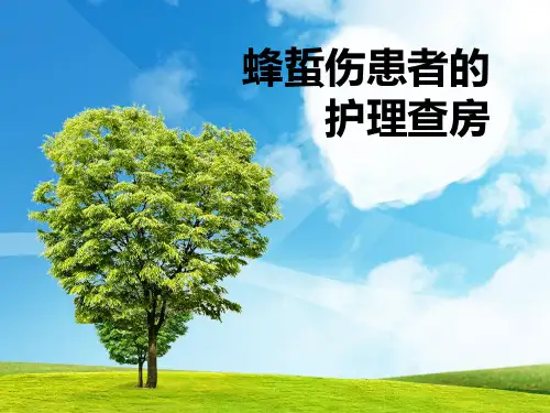 蜂蜇伤护理查房