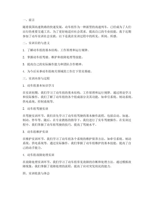 动车实训社会实践报告