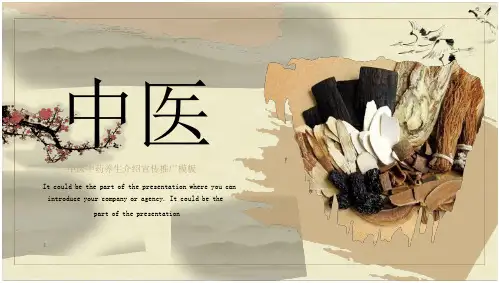 中医养生中药理疗推广宣传PPT模板