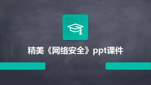 精美《网络安全》ppt课件