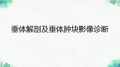 垂体解剖及垂体肿块影像诊断
