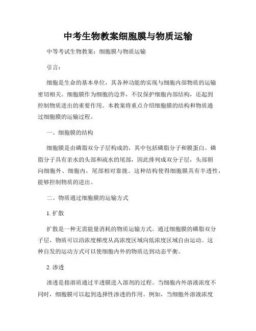 中考生物教案细胞膜与物质运输