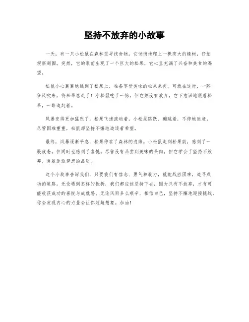 坚持不放弃的小故事