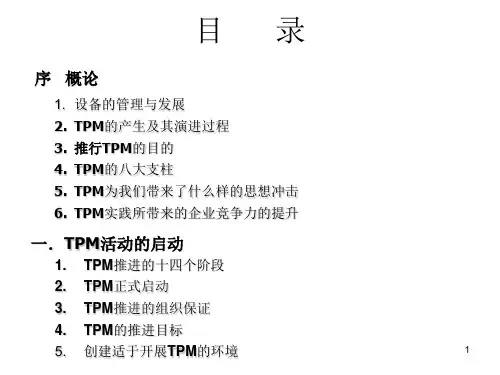 王老师TPM公开课教材