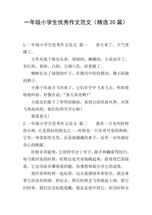 一年级小学生优秀作文范文(精选20篇)