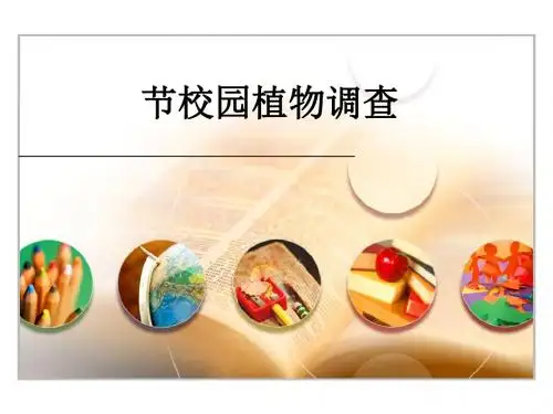 校园植物调查PPT课件 冀教版