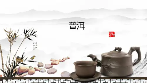普洱茶网络营销策划方案