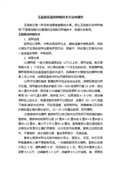 玉菇甜瓜栽培种植技术方法有哪些