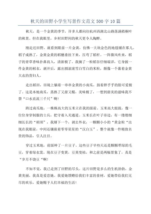 秋天的田野小学生写景作文范文500字10篇