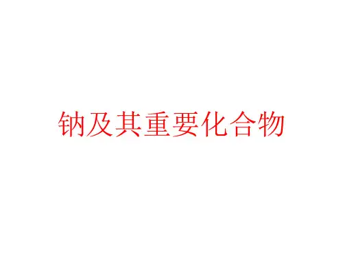 高中化学精品课件：钠及其化合物复习