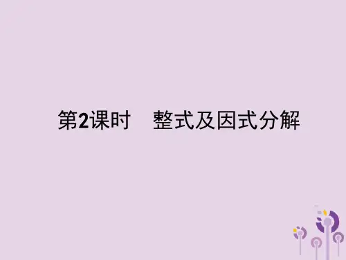 中考数学总复习整式及因式分解