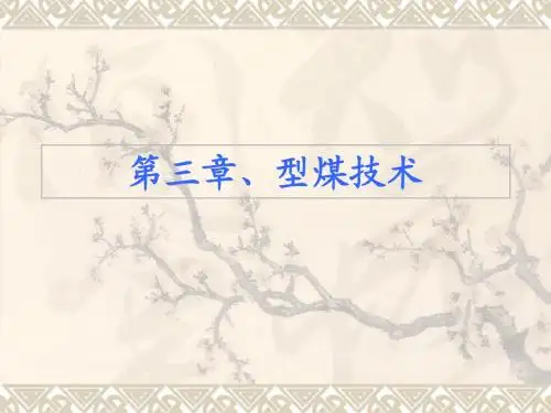 3-型煤技术