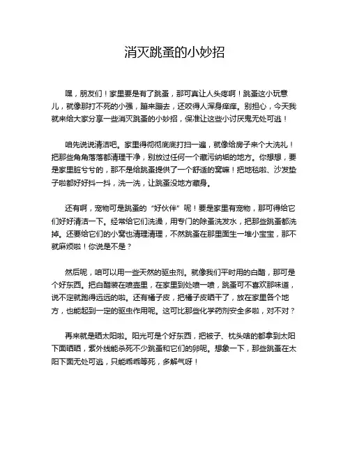 消灭跳蚤的小妙招