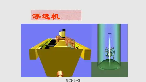 浮游选煤浮选PPT课件