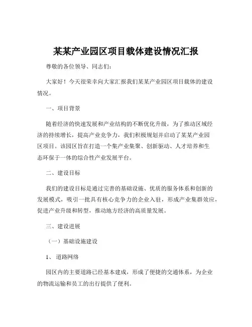 某某产业园区项目载体建设情况汇报