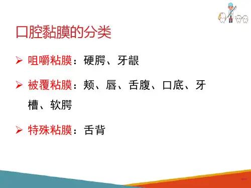 口腔黏膜—口腔黏膜的分类(口腔组织病理学课件)