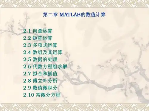 第二章 MATLAB的数值计算(修改版)