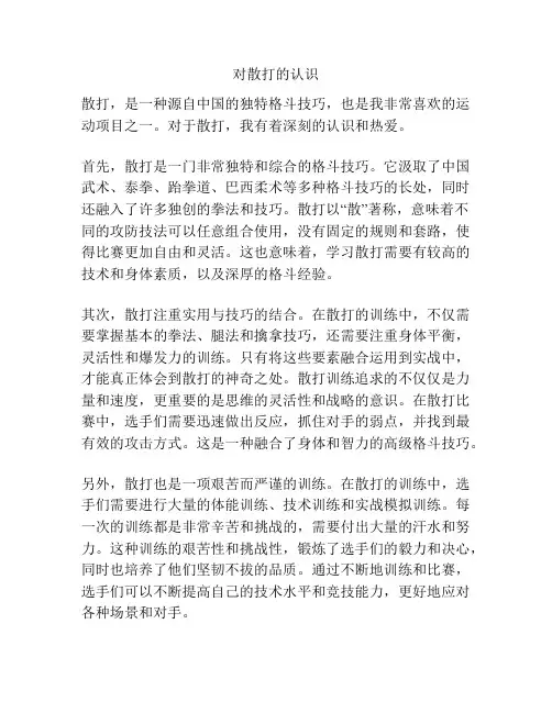 对散打的认识