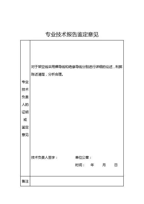 专业技术报告鉴定意见模板