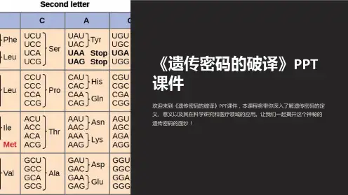 《遗传密码的破译》课件