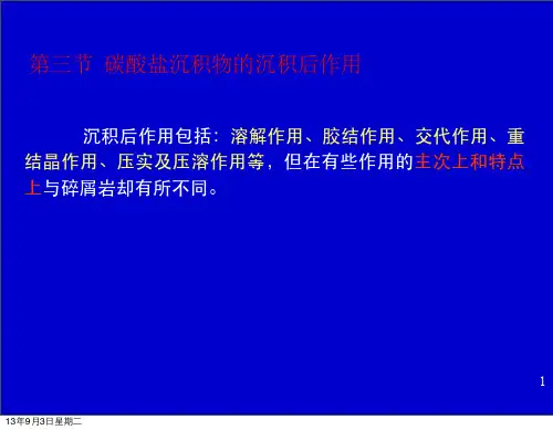 第六讲  碳酸盐沉积物的沉积后作用(1)
