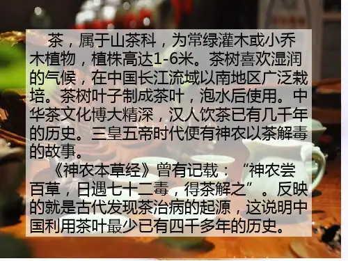 六年级下册语文课件22.陆羽与《茶经》｜语文S版 (共19张PPT)