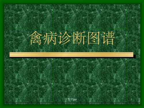 鸡病诊断图谱