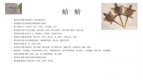 80.蛤蚧