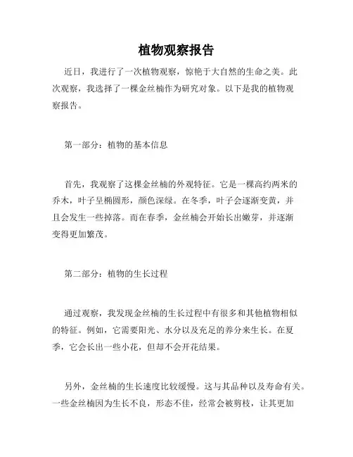 植物观察报告