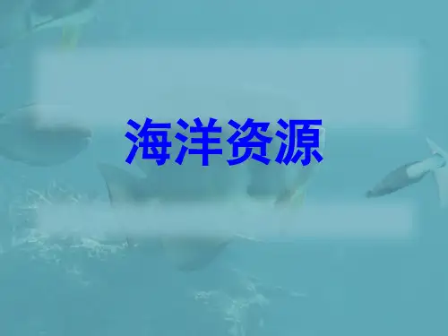 海洋资源PPT课件