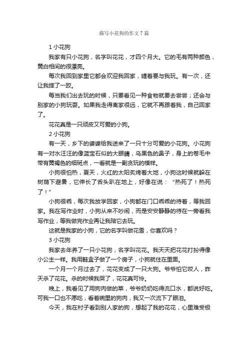 描写小花狗的作文7篇