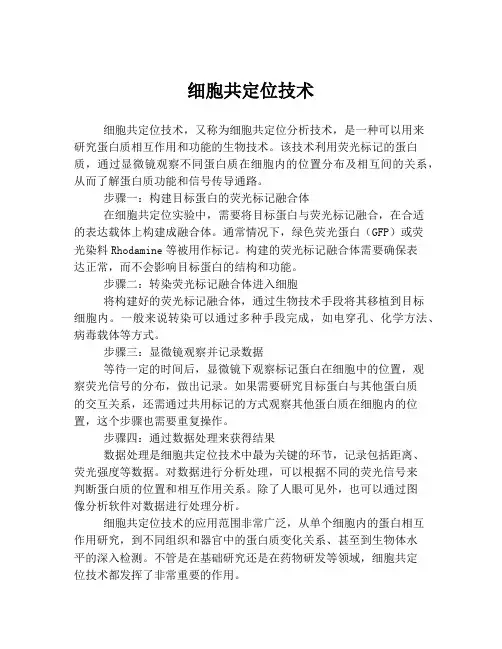 细胞共定位技术