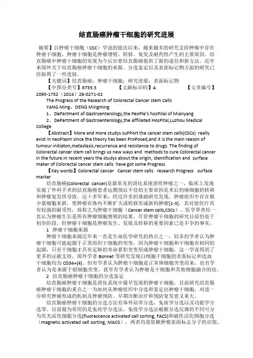 结直肠癌肿瘤干细胞的研究进展
