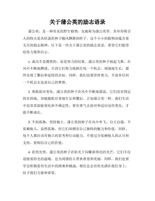 关于蒲公英的励志语录