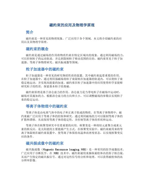 磁约束的应用及物理学原理
