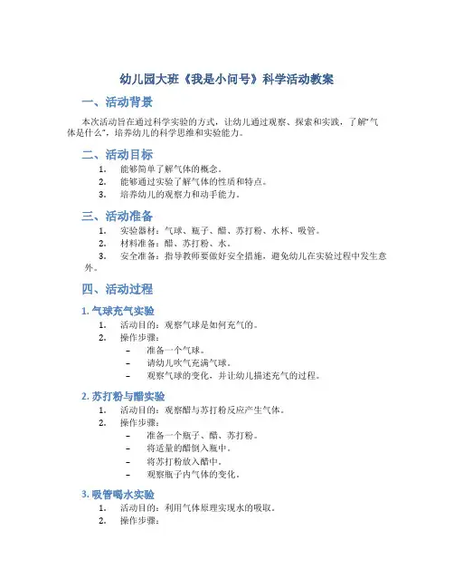 幼儿园大班《我是小问号》科学活动教案