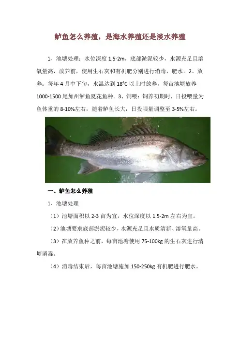 鲈鱼怎么养殖,是海水养殖还是淡水养殖