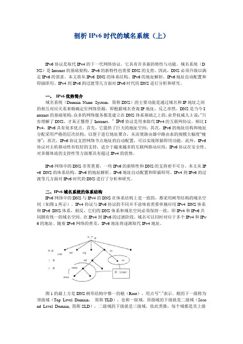IPv6域名