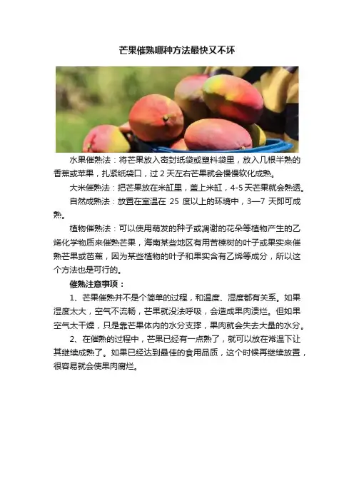 芒果催熟哪种方法最快又不坏