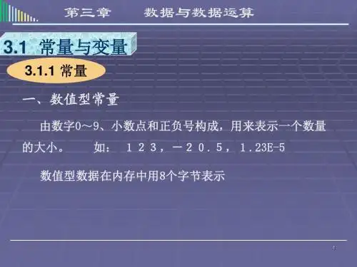 数据与数据运算解读