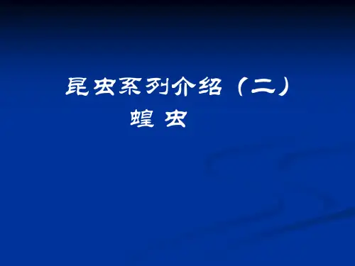 蝗虫讲稿2