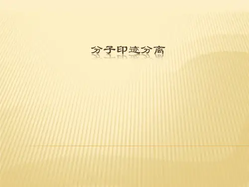 分子印迹概述
