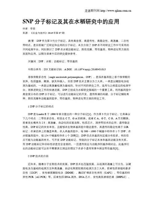 SNP分子标记及其在水稻研究中的应用