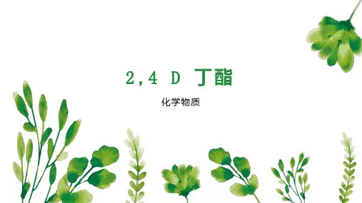 2,4 D 丁酯